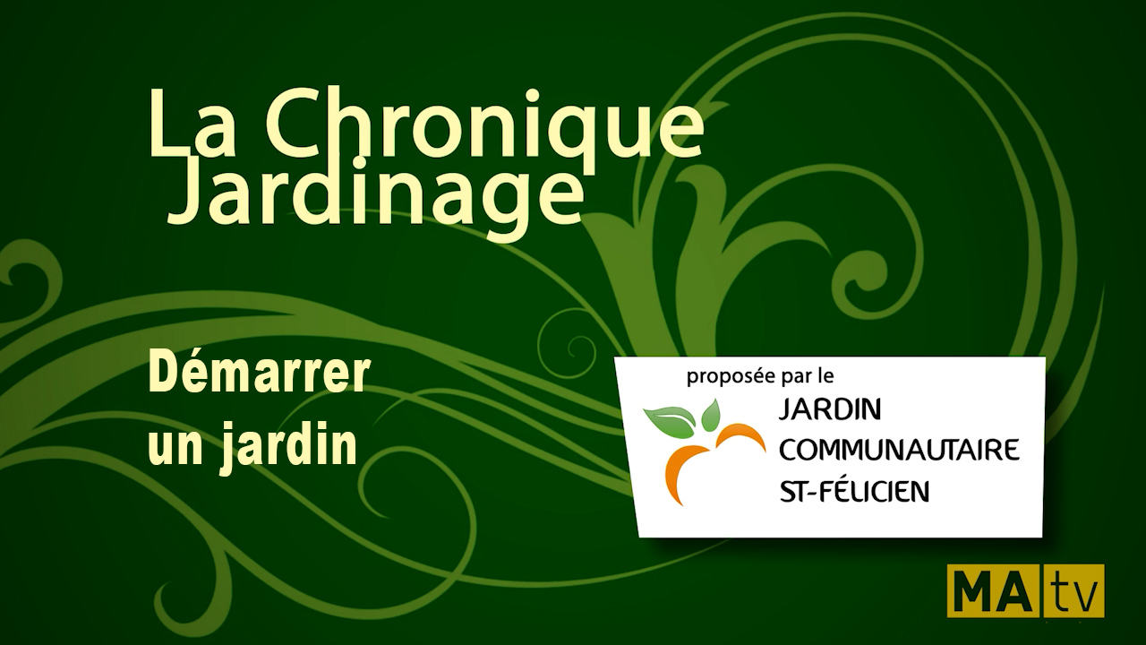 Démarrer un jardin